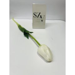 Tulipán szálas Nagyfejű Gumi Fehér