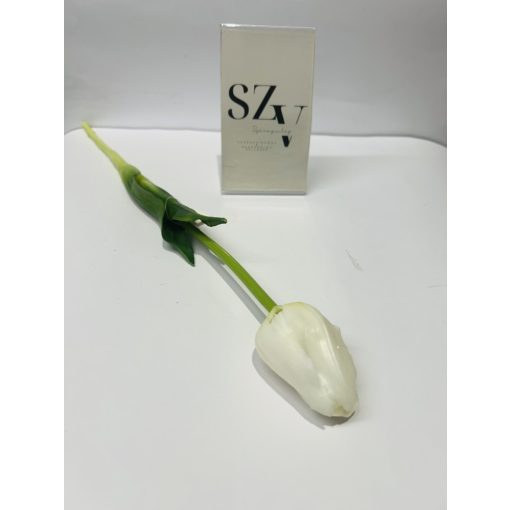 Tulipán szálas Nagyfejű Gumi Fehér
