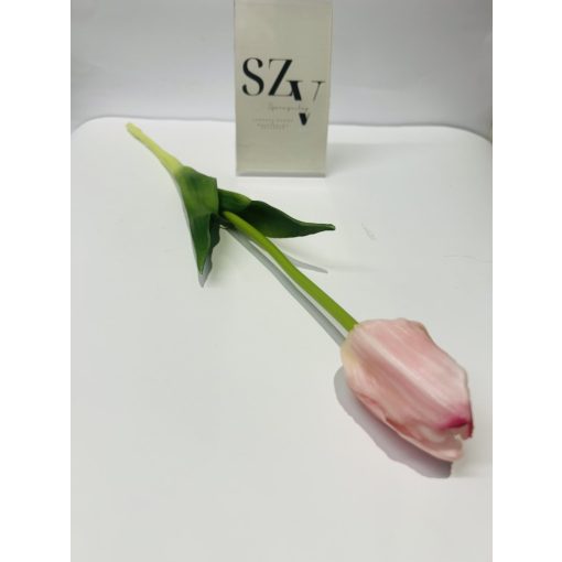 Tulipán szálas Nagyfejű Gumi Rózsaszín 