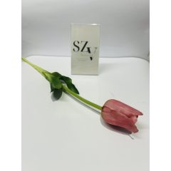 Tulipán szálas Nagyfejű Gumi Mályva