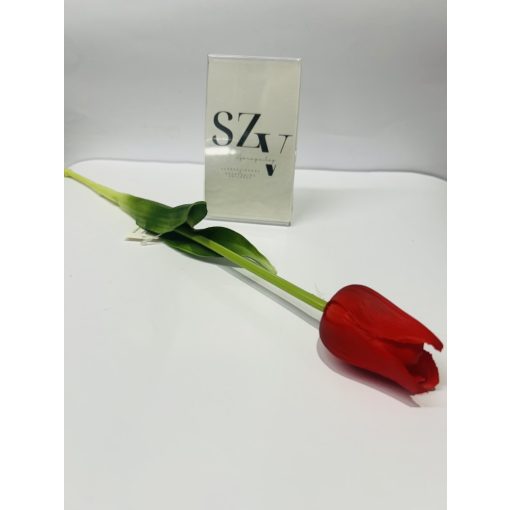 Tulipán szálas Nagyfejű Gumi Piros