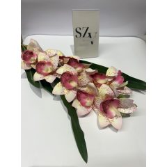 Orchidea Levéllel Világos Rózsaszín