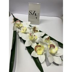 Orchidea Levéllel Fehér