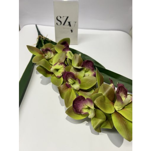 Orchidea Levéllel Zöld