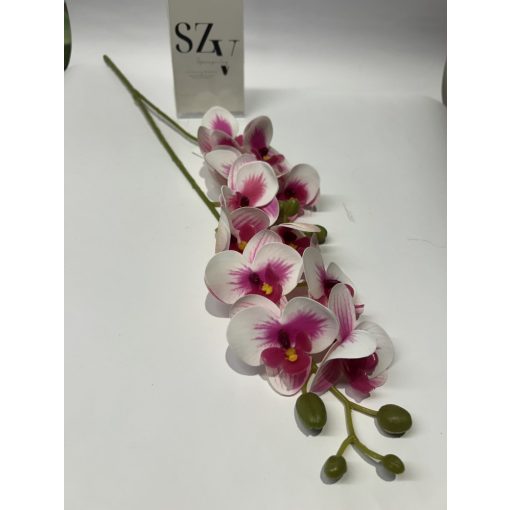 Phalenopsis 2 ágas Rózsaszín