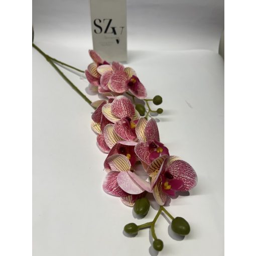 Phalenopsis 2 ágas Pöttyös Rózsaszín