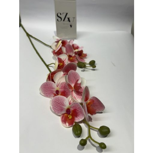 Phalenopsis 2 ágas Erezett Rózsaszín