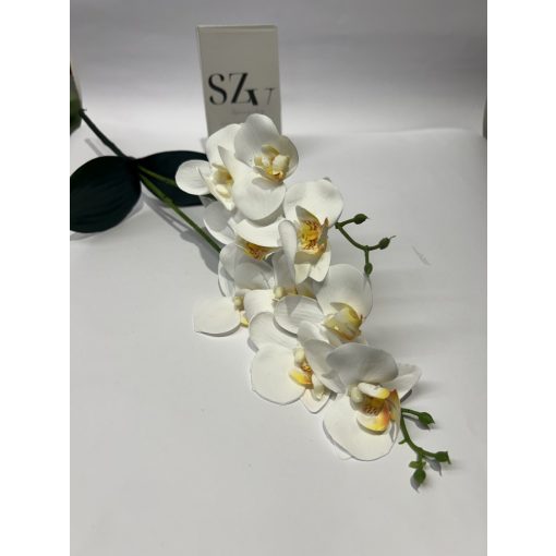 Phalenopsis 2 ágas Levéllel Fehér