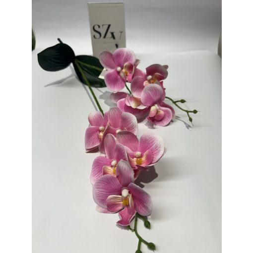 Phalenopsis 2 ágas Levéllel Rózsaszín