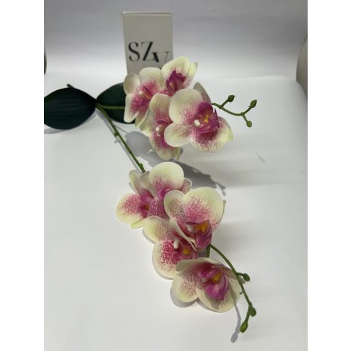 Phalenopsis 2 ágas Levéllel Cirmos Rózsaszín