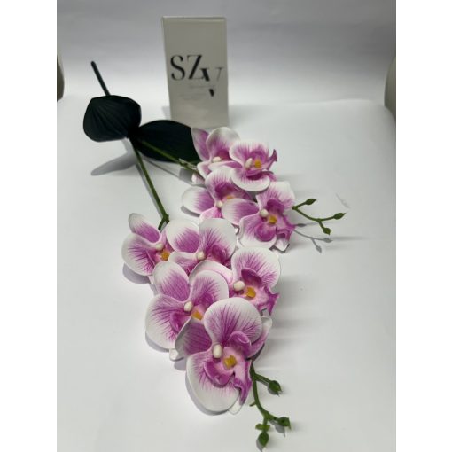 Phalenopsis 2 ágas Levéllel Cirmos Pink
