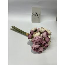 Boglárka Csokor Krém-Mályva