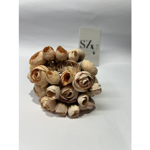 Boglárka Csokor Barack