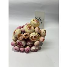 Boglárka Csokor Rózsaszín-Barack