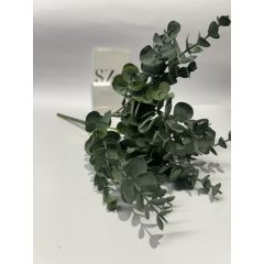 Eucalyptus Csokor 5 ágas Hamvas Zöld
