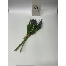 Muscari Lila Három szálas