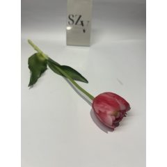 Tulipán Gumi Dupla szirmú Sötét Rózsaszín