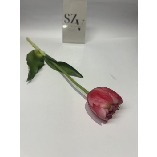 Tulipán Gumi Dupla szirmú Sötét Rózsaszín