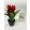 Gumi Tulipán Cserepes Piros