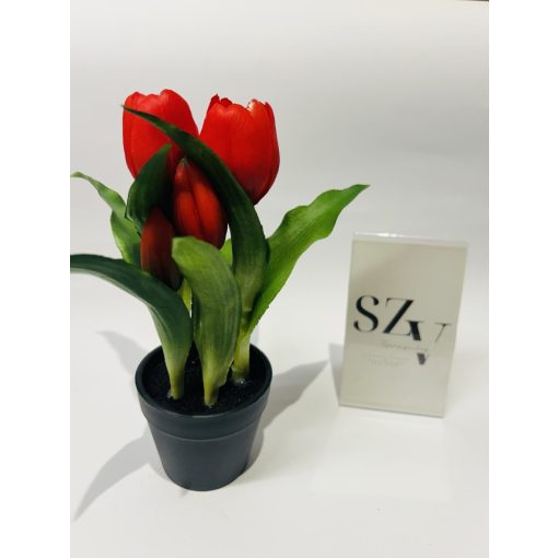 Gumi Tulipán Cserepes Piros