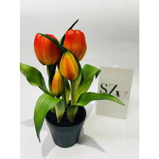 Gumi Tulipán Cserepes Narancs