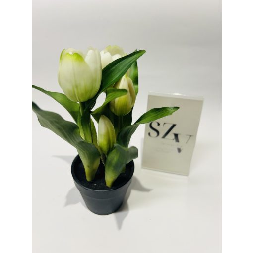 Gumi Tulipán Cserepes Fehér