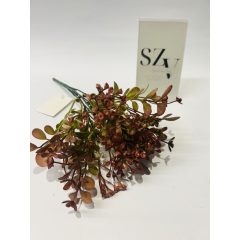 Bokor Mályva 5 ágú 