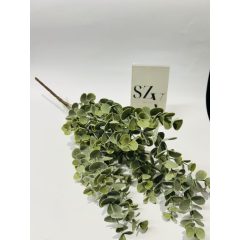 Eucalyptus Csokor 3 ágas