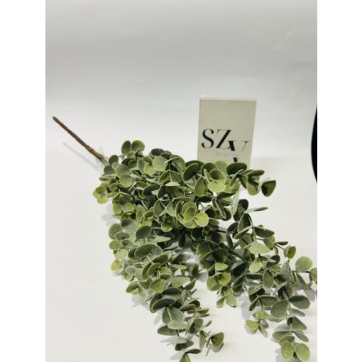 Eucalyptus Csokor 3 ágas