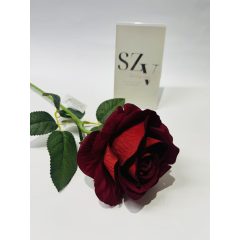 Bordó Bársony Rózsa