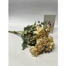 Dália Csokor Barack 7 Ágas