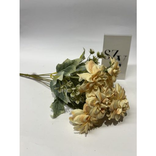 Dália Csokor Barack 7 Ágas