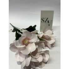 Anemone Csokor 5 ágú Rózsaszin