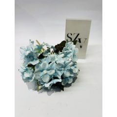 Hortensia Villágos Kék