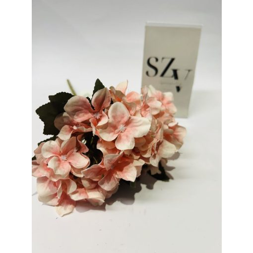 Hortensia Barack