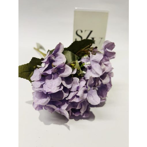 Hortensia Lila