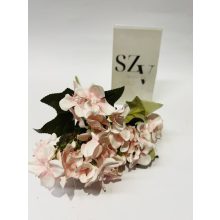 Hortensia Rózsaszin