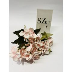 Hortensia Rózsaszin