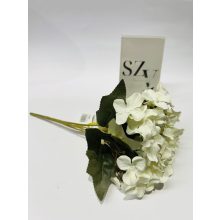 Hortensia Fehér