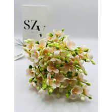 Tavaszi Virágzó Ág Barack (6 szálas)