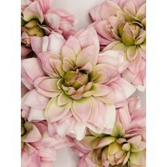   Dália Selyemvirág Fej Hegyes Szirmú Rózsaszín Zöld Cirmos 9 cm (24 darab)