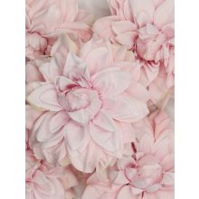 Dália Selyemvirág Fej Hegyes Szirmú Világos Rózsaszín 9 cm (24 darab)