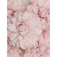   Dália Selyemvirág Fej Hegyes Szirmú Világos Rózsaszín 9 cm (24 darab)