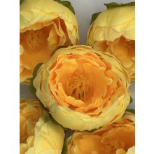 Boglárka Fej Napsárga 6 cm (48 darab)