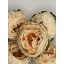 Boglárka Fej Barack 6 cm (48 darab)