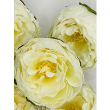 Boglárka Fej Krém-Fehér 6 cm (48 darab)