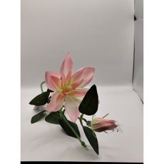 Clematis ág rózsaszín