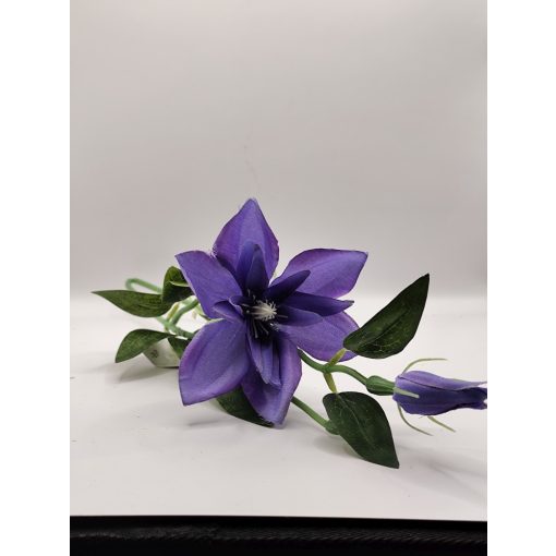 Clematis ág lila