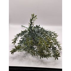 Bokros zöld 7 ágú hamvas zöld 