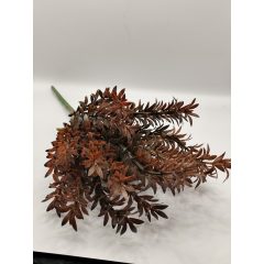 Bokros zöld 7 ágú barna